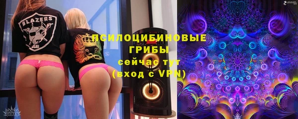 молекула духа Бронницы